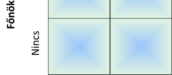tulajdonodával! A beszélgetés alapján hová rakná az X -et az alábbi 2x2-es mátrixban, ha a kérdés a következő: Létezik standard az adott folyamatra vonatkozóan?