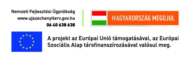 1/45 TÁMOP 5.4.1. Szociális és gyermekvédelmi szabályozó rendszer kidolgozása pillér Gyermekjóléti