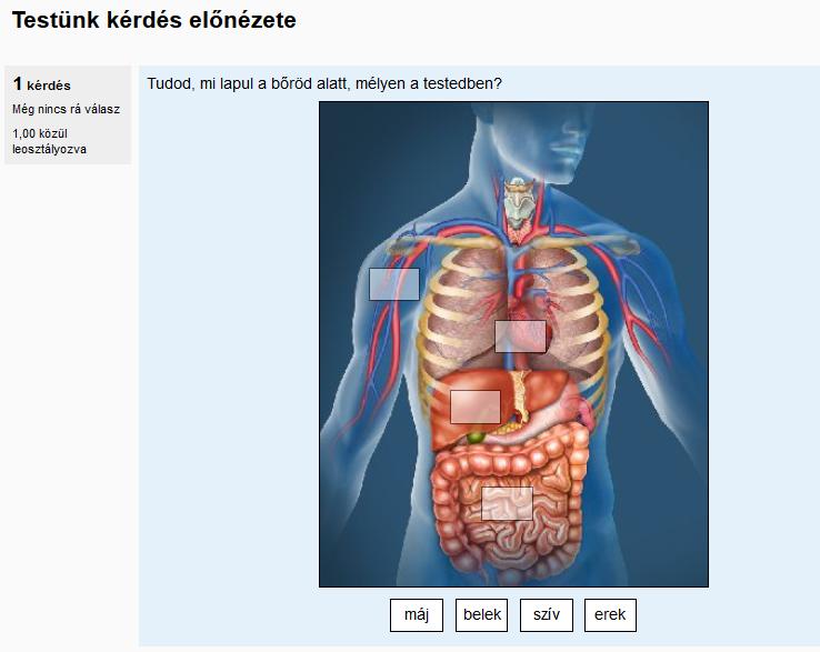 Kérdésünk előnézete 3.13.5.