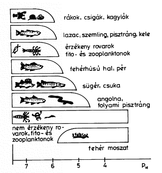 75. ábra Néhány vízi