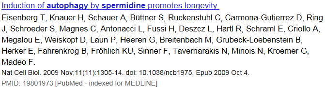 Poliaminok és öregedés Az öregedés során egyre csökken a poliaminok mennyisége a sejtekben.