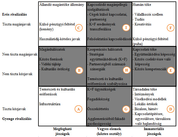 természeti erőforrások, az élet minősége vagy az agglomeráció gazdasága, amit a városok biztosítanak, de ide tartozhatnak az üzleti élet inkubátorai és az ipari övezetek vagy más üzleti hálózatok is,