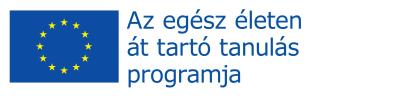 2013-1-1-LEO05-09615 Beköszöntő A pályázat célja az Informatikai Szakmai Társaságok Európai Tanácsa (CEPIS) által kidolgozott EUCIP Core(European Certification of Informatics Professionals) képzési