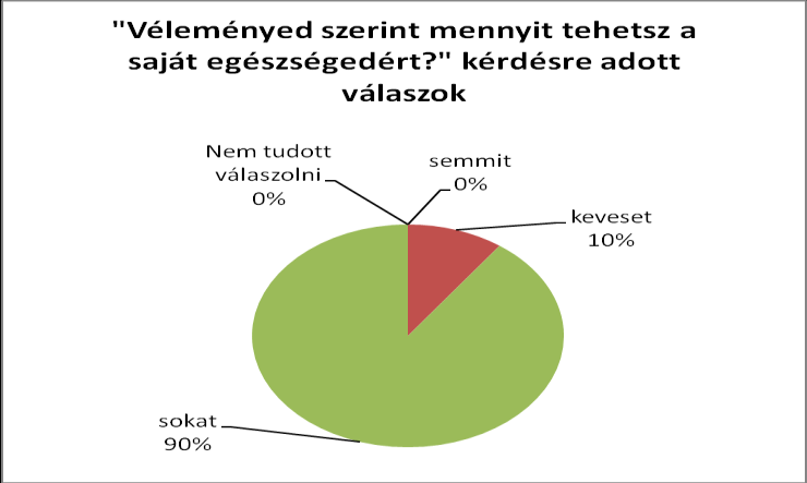 Mit gondol saját egészségéről? Első csoport: 13 %-uk kielégítőnek, 17 %-uk nagyon jónak, míg 67 %-uk jónak mondja saját egészségét.