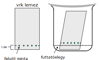 6. Fotoszintetikus pigmentek vizsgálata A fotoszintézis a földi élet alapja.