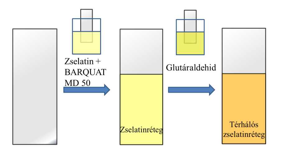 IV.1. Ábra Űiocid tartalmú zselatinréteg kialakítása üveglemezen. 2 g zselatin 15 ml 30 ű-os desztillált vízben készített oldatába merítettem tisztított üveg mikroszkóp tárgylemezeket (IV.1. ábra).