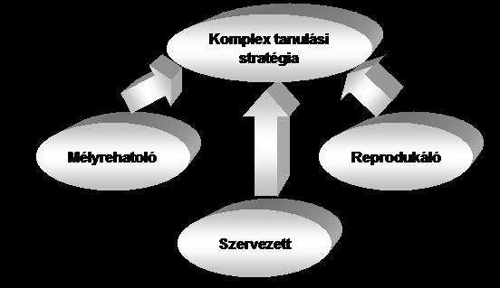 feldolgozásának szintjeire. Fontos a pedagógus számára, hogy ismerje tanítványai tanulási stílusát és stratégiáját.