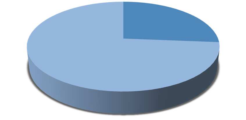 Gender (%) Female 74% Male 26% Gender - Age Mean Score Male Female Other Number of the Answers 849 2380 8 Mean 58,5 56,8 60,7 Std.