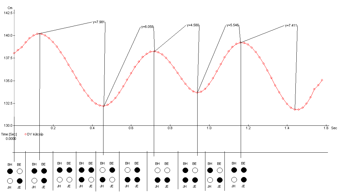 A mozgás terjedelme, a dorsoventrális tengely mentén kb.: 6-10 cm, mely megfelelő amplitúdót jelent, az objektív vizsgálatok lefolytatásához (26. ábra). 26.