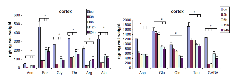 A kéregben a 3-NP az Asn, a Ser, a Gln, a Gly, az Arg, az Ala és a GABA szintet csökkentette és ez alacsony is maradt.