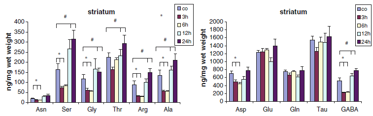 3. ábra. A 3-NP hatása az aminosav szintekre. Átlag±SEM, n=7, *p<0,05.