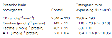 5. táblázat. A V max aktivitás agyhomogenizátumokból. Átlag± SEM. Kinurenin rendszer A kinurenin rendszer a triptofán metabolizmus egyik útvonala (20. ábra).