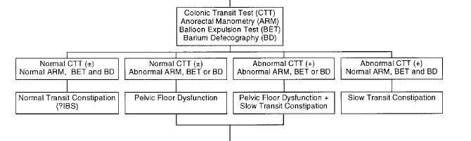 Diagnosztikus algoritmus szint