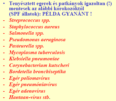 RÁGCSÁLÓK ÉS NYÚL TERJESZTETTE ZOONOZISOK MEGELŐZÉSE A laboratóriumi állatoktól való fertőződés lehetősége alacsony, DE!