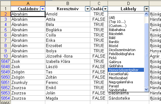 Excel 2003: hol, mikor és hogyan használjuk a programot Ennek hatására az összes olyan személy adata megjelenik, akik családneve a családnév szerinti rendezésben Zsok vagy azután következik, vagy az