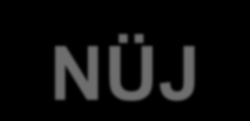 Mi az a NÜJ? Ügyfélkapuval csak természetes személyek rendelkeznek. Szükséges az ügyfélkapun belépő természetes személyek és az általuk képviselt cégek összerendelése.