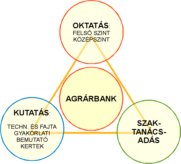 alkalmazott szakemberei felé folyamatosan a legkorszerűbb ismeretanyagokat juttatja el.