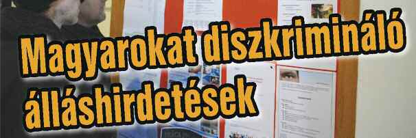 0,50 9. decembra 2013. december 9. Delta hetilap www.deltakn.sk Ročník X. évfolyam 50 Szlovákia déli régiói már hosszabb ideje küzdenek az országosnál nagyobb munkanélküliséggel.