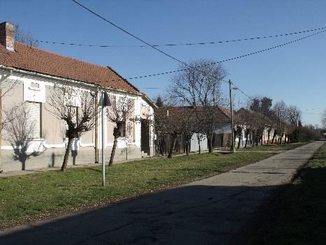 HELYZETFELTÁRÓ- HELYZETELEMZŐ - HELYZETÉRTÉKELŐ MUNKARÉSZEK 225 A szegregátumban 31 lakás található, többségük valamikori gazdagparaszti épület és több polgári épület is megtalálható.