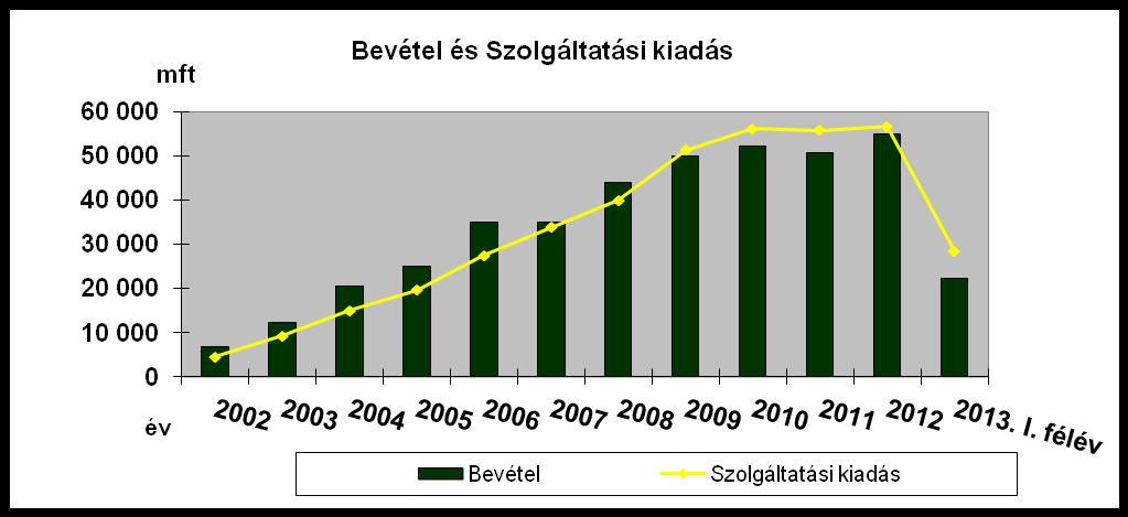 Önkéntes egészségpénztárak: az 50-60 milliárdos szektor (2002 2013. I.