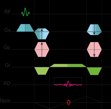 vagy kiolvasó gradiens (Gr), amit elő kell feszíteni úgy, hogy a refókuszált ekhó a mintavételi ablak (AD sor) közepére essen abban az esetben, ha a teljes ekhó jelét fel akarjuk venni.