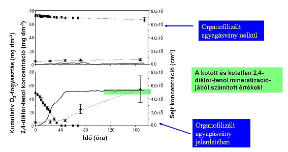 A kezdeti toxikus 2,4-diklór-fenol koncentrációnál (80 mg dm-3) a sejt-koncentráció és az oxigénfogyasztás mérsékelten növekedett 2C18-35-MM nélkül, és a 2,4-diklór-fenol koncentráció sem változott