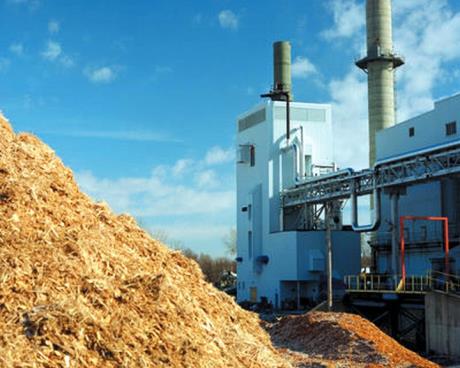Biomassza (energetikai célú)