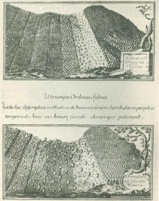 77 / 113 oldal 10. ábra. Kép Mária Terézia 1769-es erdőrendtartásából, melyen különböző fafajú és korú egységekre osztott erdőterület látható.