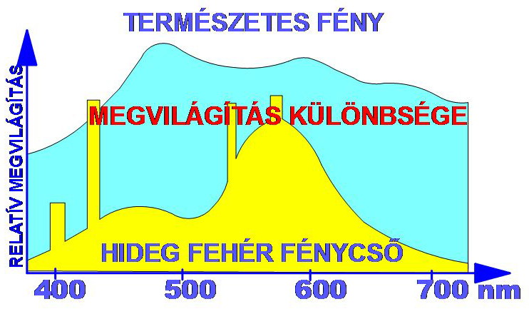 a lányok közepes érése 12,79 év elérésekor következett be.