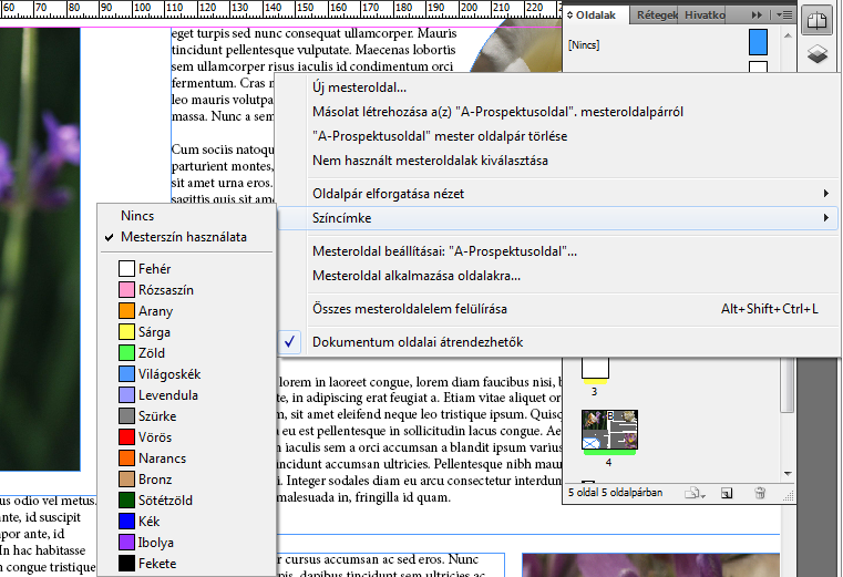 INDESIGN ALAPOK 113 Oldalbélyegképek színcímkéi A CS5 változatban az Oldalak panelen az oldal helyi menüjéből színcímkék rendelhetők az oldalak bélyegképeihez.