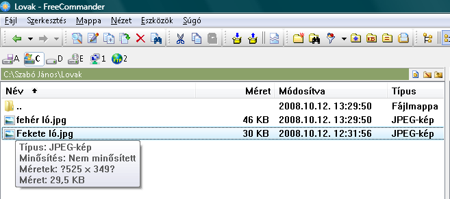 2-3 db mappához nem nyúlsz, mert mérges leszek! Windows Program Files Program Data (Vista) A többi mappába belenézhetsz, de NEM tötölhetsz! Ha valamit mégis szeretnél törölni, SZÓLJ!