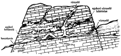 A felszín alatti karsztformák: Felszín alatti karsztformák a barlangok. A karsztos barlangok eredetük szerint oldódásos és eróziós eredetűek lehetnek.