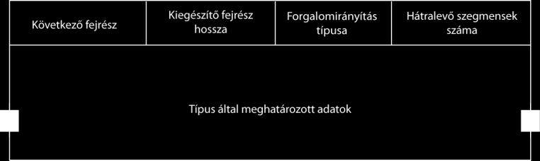 - IHL rögzített hosszúságú fejrész Kiegészítő fejrészek - Célszerű sorrendben használni - Fix hosszúságú vagy változó (típus, hossz, érték) - Típus 1 bájt milyen opció első 2 bit mit tegyen, ha nem