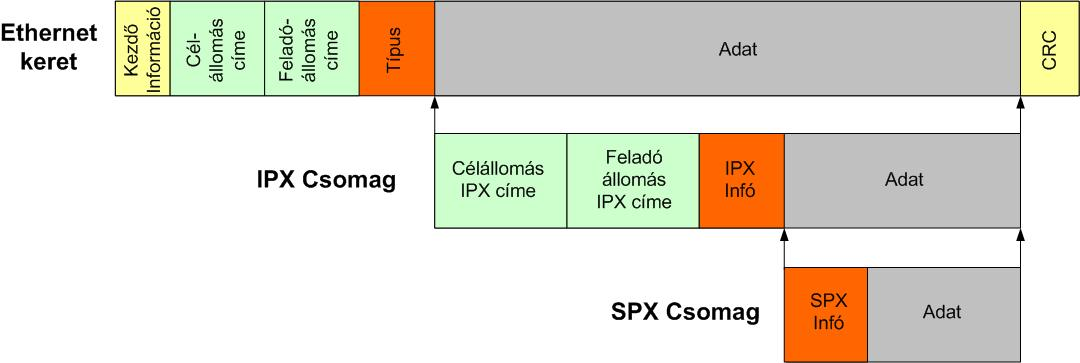 Az IPX/SPX csomagok beágyazása az Ethernet keretbe A protokoll - mint a nevéből is kiderül - képes a különböző hálózati szegmensek között is csomagok továbbítására.