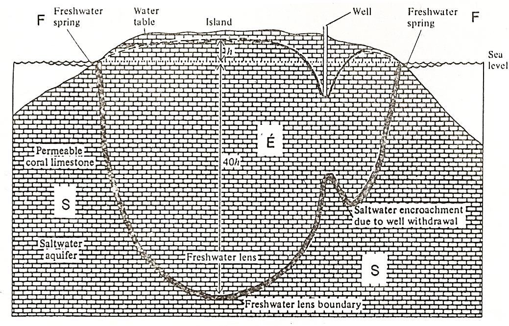 84. ábra. Az édes talajvíz kitermelése esetén a sósvíz szintje megemelkedik (Lundman Coch 1982 in Báldi 1994) 85. ábra. Az édes és sós talajvíz határa egy intenzív kitermelés előtt (A) és után (B) (Press Siever 1982 in Báldi 1994) Dr.