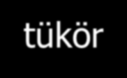 I. (a) SPEKTROFOTOMETRIA 1 1 fényforrás (a) SPEKTROFOTOMETRIA 2 mono- kromátor Deutérium lámpa Volframszálas lámpa MINTA MŰSZER detektor UV tartomány (220 380 nm) VIS tartomány (380 1100 nm)