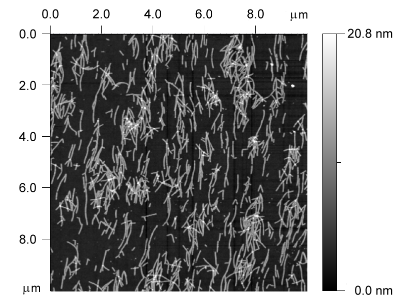 befolyásoló tényezőkről sem: az AFM méréseket megelőzően a mintákat ultratiszta vízzel öblítettük le, hogy a PBS oldat sójától (mely később a felületen kristályosodna ki) megszabadítsuk a felszínt,