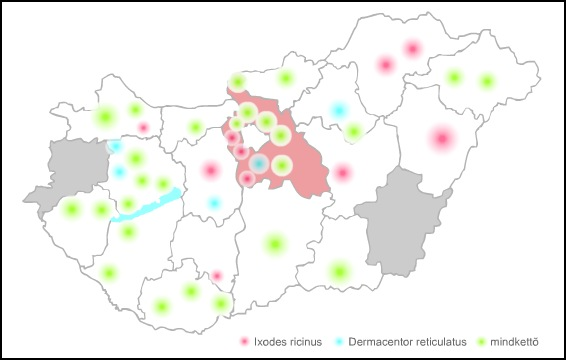 1. Ábra: Kullancs fajok előfordulása Magyarországon (Forrás: http://kemecsementok.lapunk.hu/?modul=oldal&tartalom=436468) Egy 2001es kutatás (Farkas R. és Földvári G.