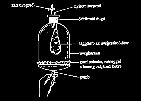 2. kísérlet: Mellkaskerület mérése mérőszalag, munkafüzet Vegyél egy mély levegőt, a társad pedig mérje meg a mellkasod kerületét mérőszalaggal! Végezzétek el a mérést erőteljes kilégzés után is!