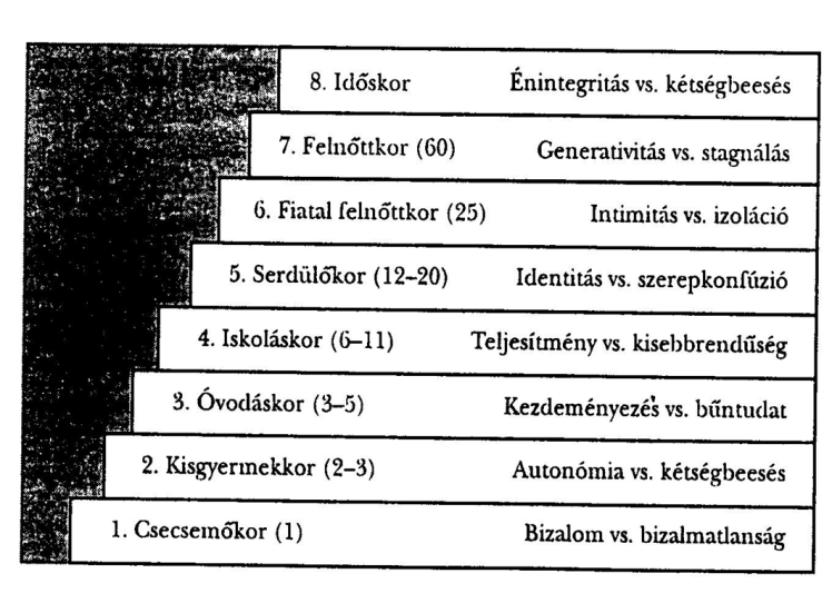 változásokra és életének aktív irányítására o minden életkorban sajátos feladatokkal, elvárásokkal, lehetőségekkel szembesül az egyén o minden fejlődési szakasz életre hív egy válságot, vagy krízist