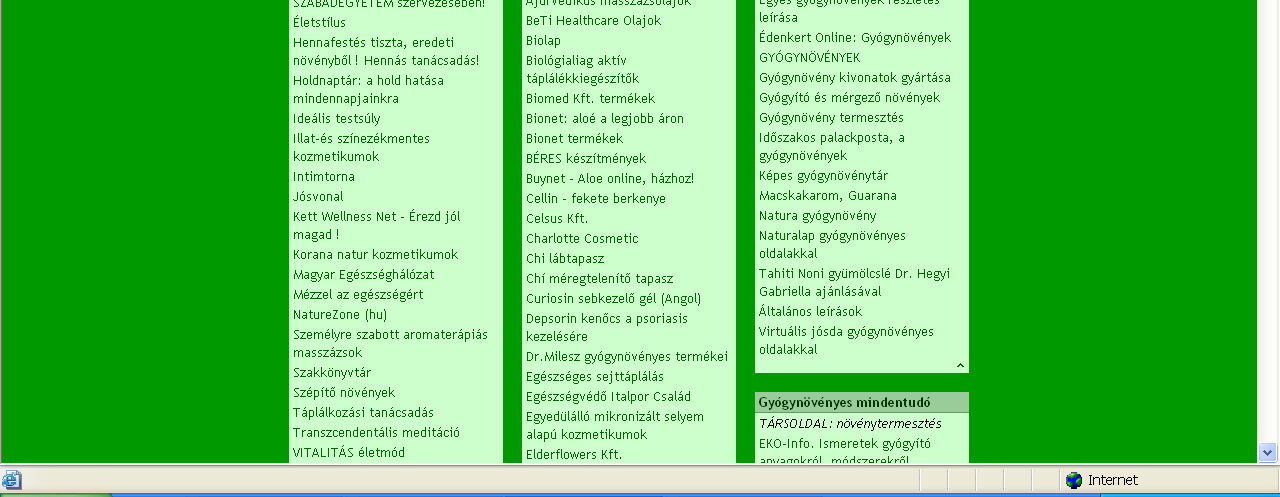 A Startlap célja, hogy a felhasználót a céloldalhoz egyetlen klikkeléssel eljuttassa. Kevés kép van az oldalon, ezért gyorsan töltıdik le, hogy több idı maradjon az internetezésre.