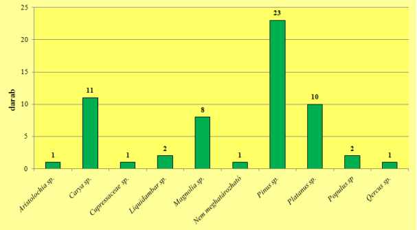 (16,7%) és a Magnolia sp. (13,3%) taxonok fordulnak elő leggyakrabban. Kisebb számban még Liquidambar sp. (3,3%), Populus sp. (3,3%), Aristolochia sp. (1,7%), Cupressaceae sp. (1,7%) és Quercus sp.