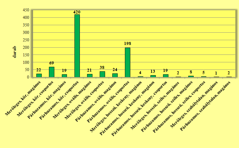 Az altípusok meghatározásánál egyrészt a bioeróziós nyomok alakját vettem figyelembe, miszerint elkülönítettem a kör, az ovális, a hosszú és keskeny, a hosszú és széles és a szabálytalan alakúakat.