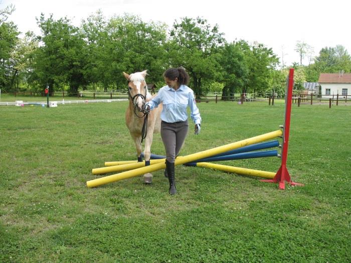 7.5. Szalagos kapu 2,3 méter magas, 2 méter széles kapura, sűrűn egymás mellé szalagokat akasztunk. A szalagok közti távolság legfeljebb 5 cm lehet.