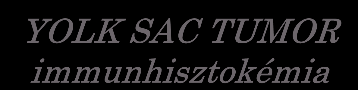 YOLK SAC TUMOR immunhisztokémia Pozitív: AFP, α-1 antitripszin, AE1/AE3, Focalisan