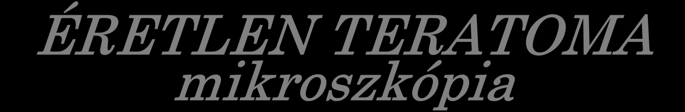 ÉRETLEN TERATOMA mikroszkópia Érett, éretlen elemek Nem