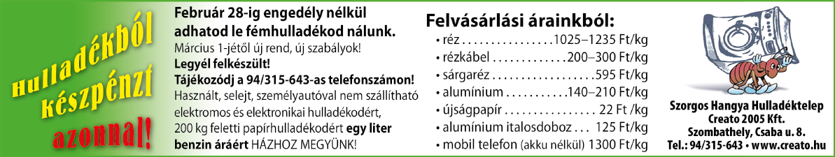 24 2014. február 14. SZOMBATHELYI 7 Kit választ útitársnak? Megújult formák, dinamikus motorok és modellek, amelyek kategóriaelsők a biztonság terén.