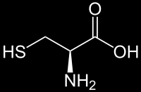 3. Dihidroorot{z: EC 3.5.2.3, L-Cisztein: Cys, C, Mw 121.16, fehérjealkotó aminosav. Képződhet szerinből a Met kénatomj{nak felhaszn{l{s{val. Leboml{s{val piroszőlősav keletkezhet.