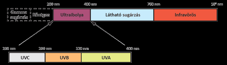 6. táblázat.