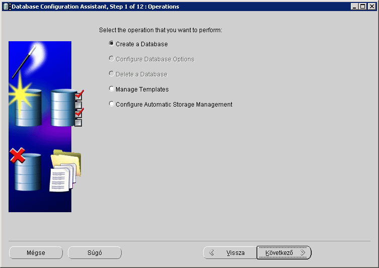 Második lépésként válasszuk ki az Create a Database pontot, majd kattintsunk a Következő gombra. A következő lépésben választhatunk, hogy milyen jellegű adatbázist szeretnénk telepíteni.